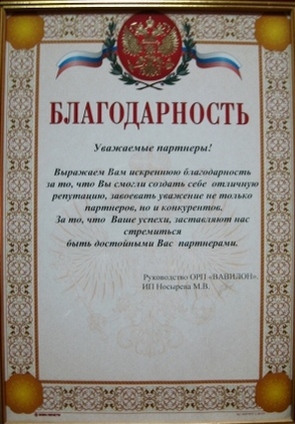 dostizheniya2